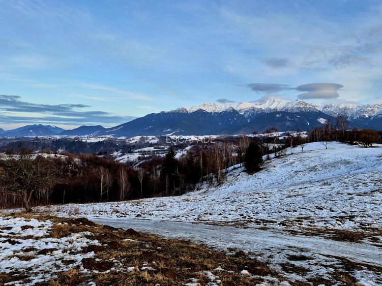 Teren cu priveliste deosebita /muntii Bucegi,in sat Pestera/Moeciu zona La Odai - 6