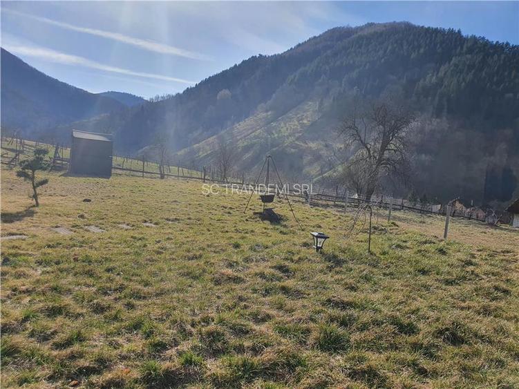 Vindem urgent 1035mp teren intravilan in Rau Sadului ,  SIBIU - 19