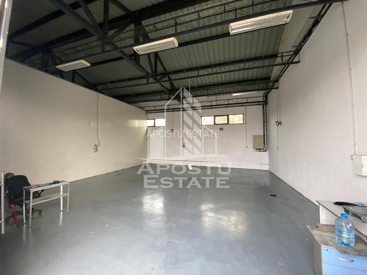 Hala de inchiriat Timisoara - Dambovita, depozitare, service auto - 2