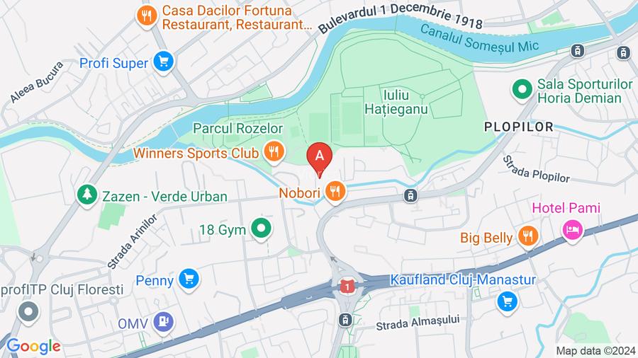 Apartament 2 camere ultramodern de inchiriat în Parcul Rozelor - 16