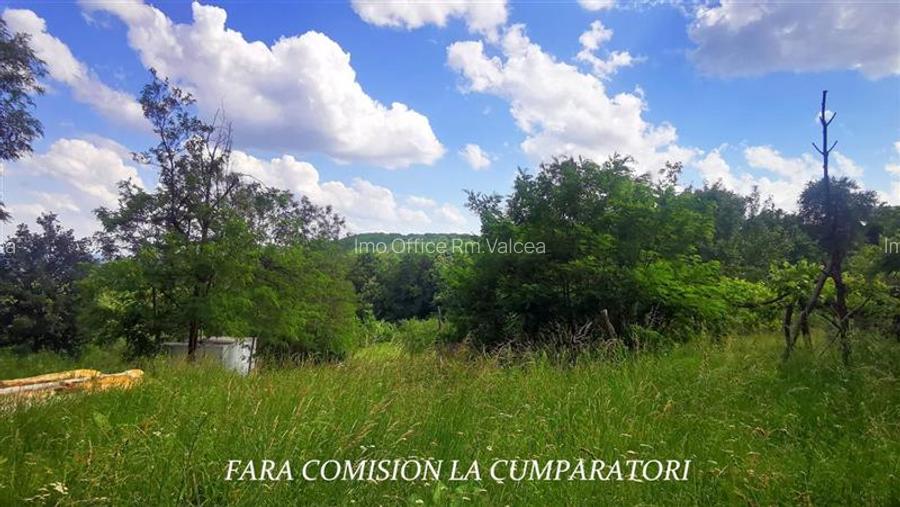 DEALUL MALULUI, TEREN 1500 MP INCONJURAT DE PADURE - 4