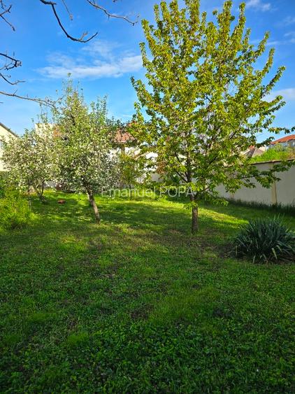 Casă deosebită de vânzare în Timișoara – Zona Pomiculturii, 750 / 225 mp utili   - 15