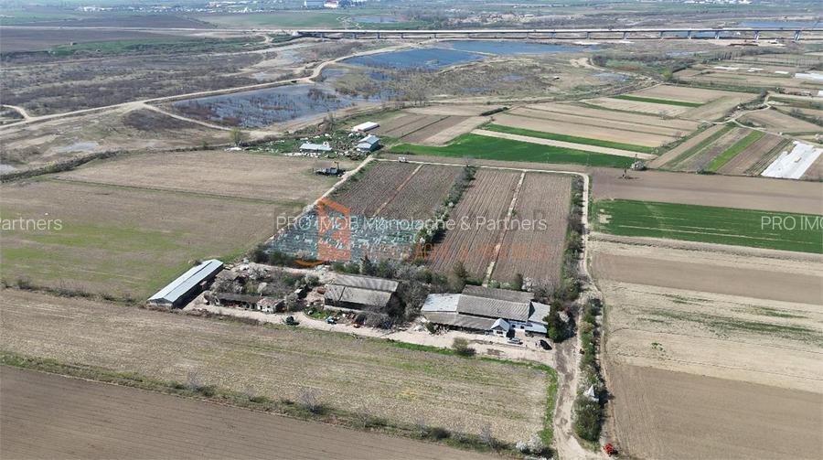 Oportunitate in domeniul agricol teren + constructii zona Scurtesti - 2