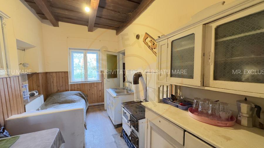 Casă 3 camere, Teren 3.263 mp, Str.Mărășești Nr.16 -Carei-Comision 0% cumpărător - 7
