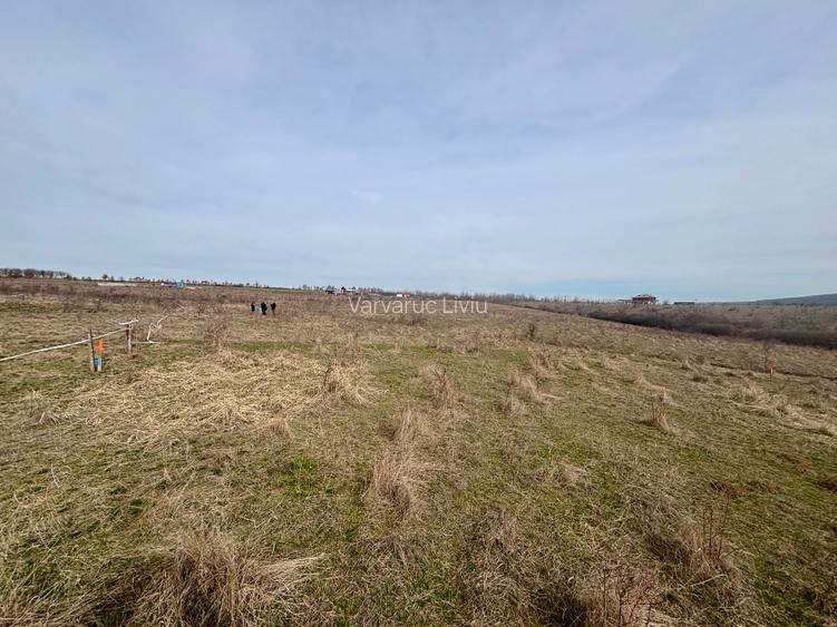 Teren intravilan de vânzare – 802 mp – zona Salciua / Herneacova - 4