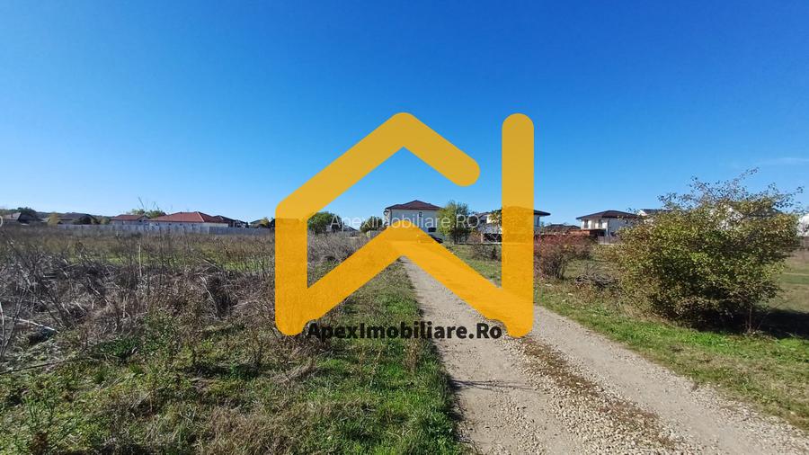 Corbeanca - Tamasi | Teren 1225mp, deschidere 44ml | Utilitati la 50m - 3