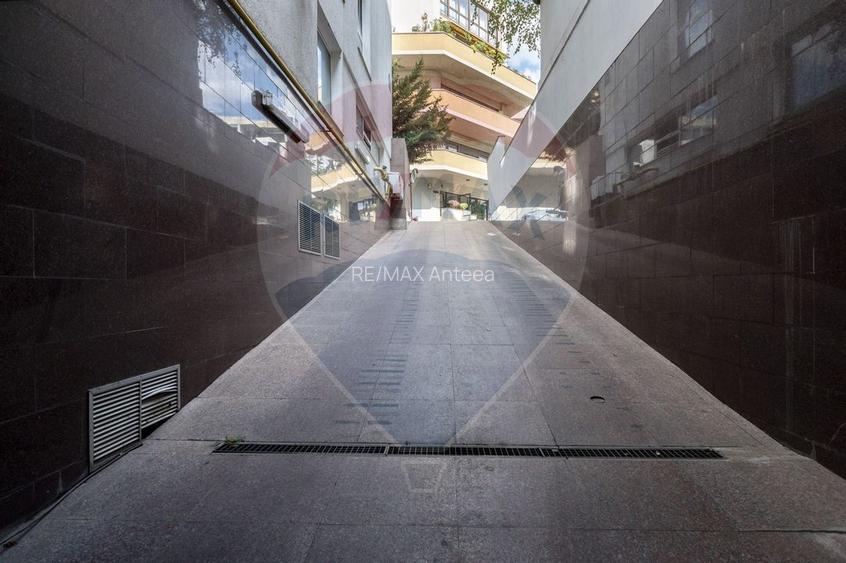 4 camere| semineu| piscina interioara | sauna | sala de sport| parcare - 31