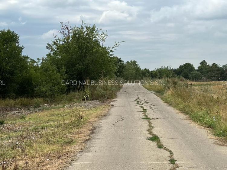 Pantelimon -Lebada- str.Olanesti(spre fabrica de Paine), 5000 mp. - 5