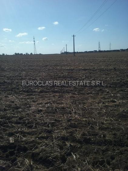 Exclusiv! Teren extravilan 10.000 mp - Cumpana - Malul canalului (Cod E3) - 7