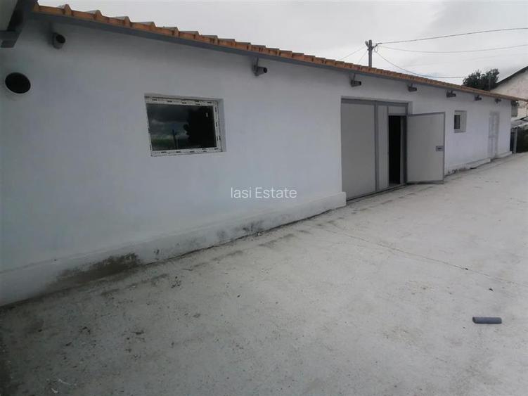 Hala 550mp zona Lunca Cetatuii - Dumbrava - 4