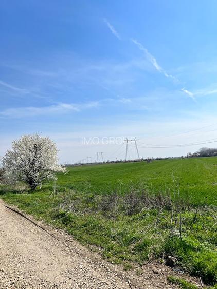 De vanzare lot teren intravilan Dumitrana Magurele - 3