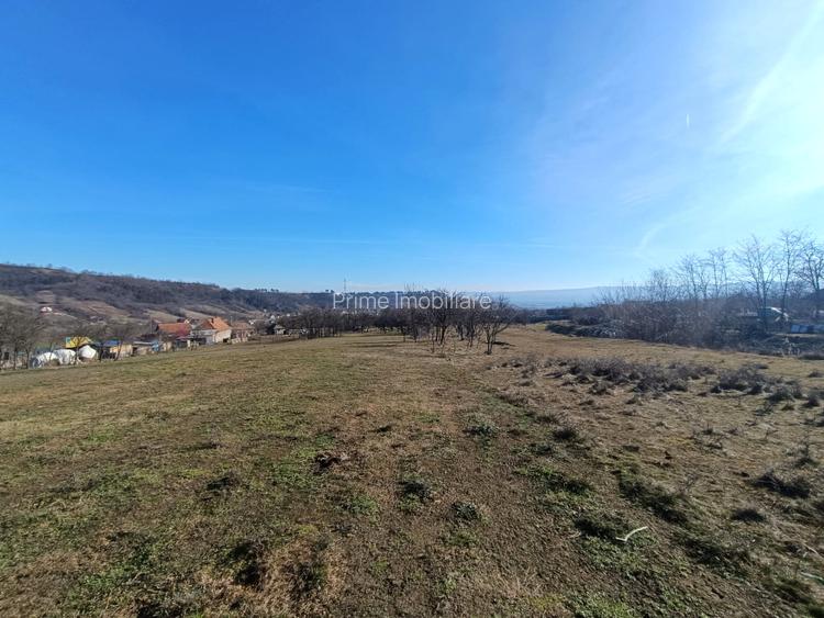 Teren Generos în Pâclișa – Intimitate și Natură la un pas de oraș - 3