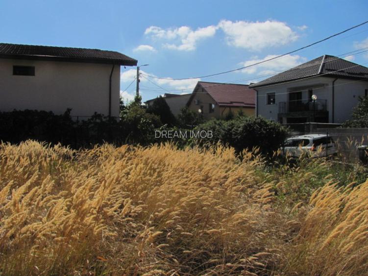 Bragadiru - Zona Haliu, Stradal - 3