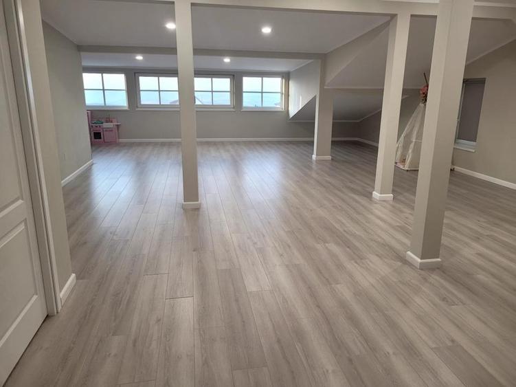 Casa individuala in Salicea P+M finisata mobilata in Salicea
