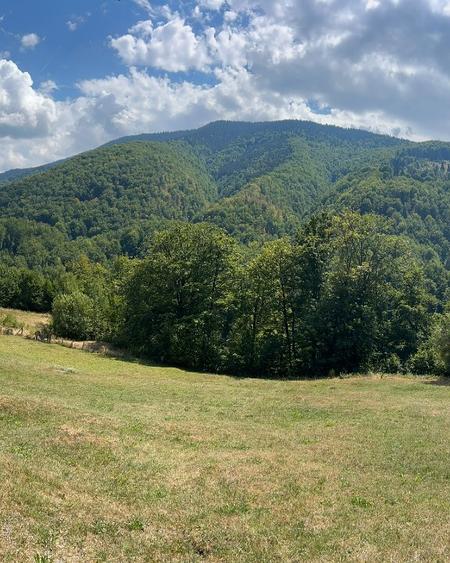 Teren Montan 6.572 mp Jieț (Petrila , Județul Hunedoara)
