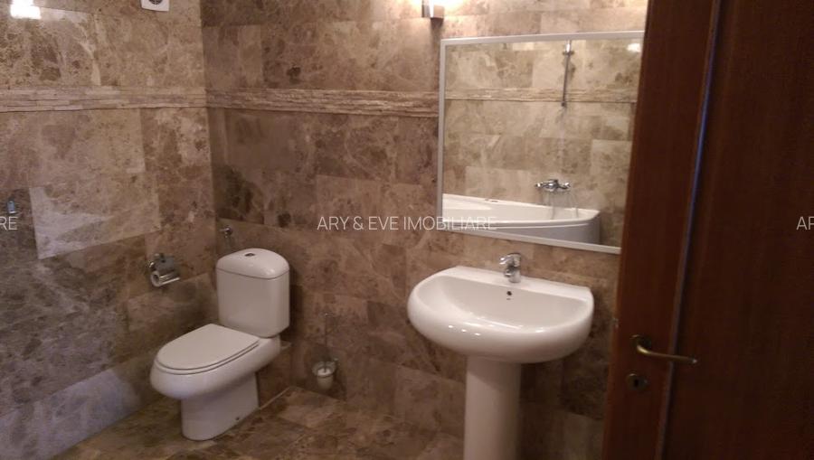 Pipera vila individuala ,piscina ,terem 700mp,rezidential/comercial - 22