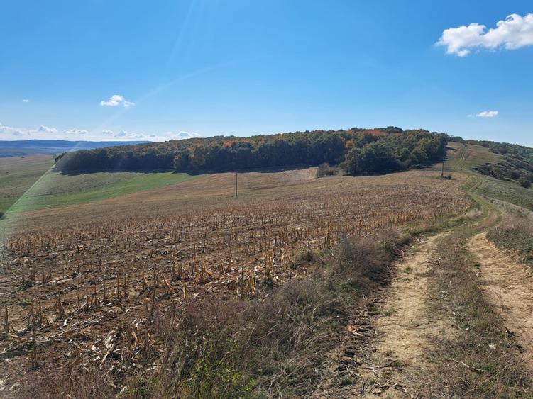 Teren agricol de vanzare