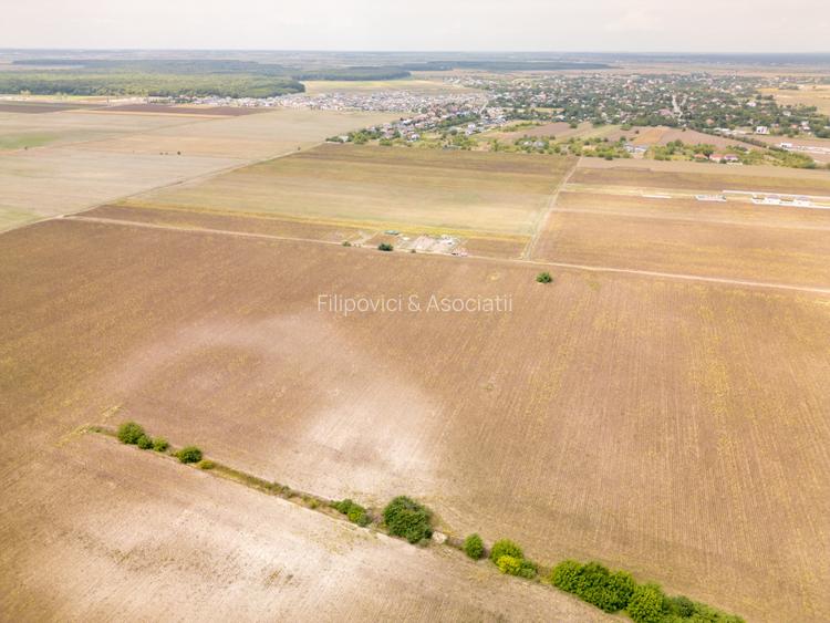 DASCALU – TEREN INTRAVILAN 11300 MP, INVESTITIE! - 17