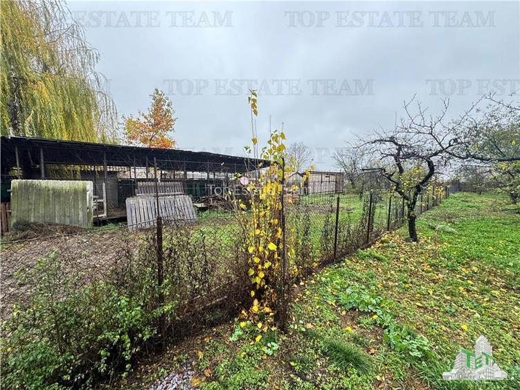 Vila de vanzare in Branistea, teren 2665 mp - 19