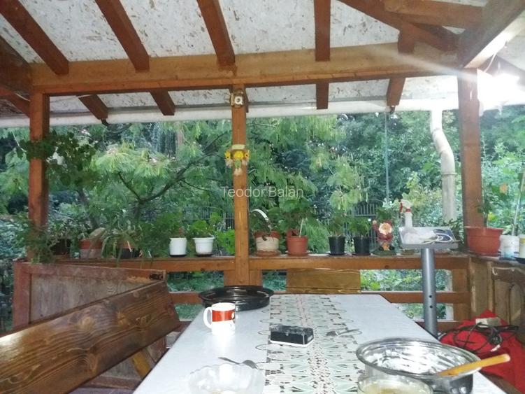 Vând casă în orașul Buziaș sau schimb cu apartament la parter, în Timișoara. - 7