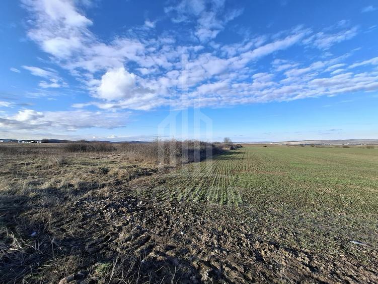 Teren Intravilan de Vânzare – 4300 mp – Cristian, zona Aeroport