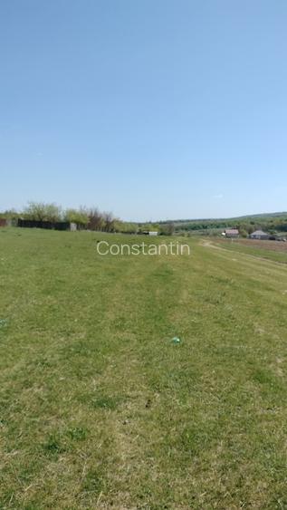 Teren extravilan 7.200 mp Bordea - Grajduri/ Oportunitate Investiție  - 7