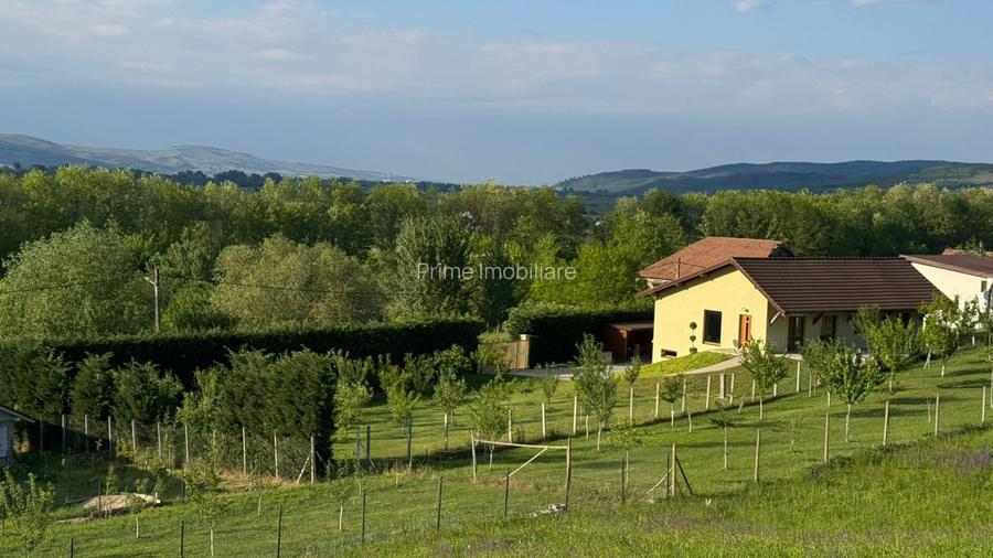 Casa Individuala 4 camere, 212 mp utili + livada, zona Limba! - 4