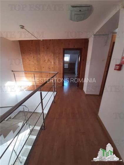 Tineretului-vila individuala aproape  de metrou si parc --pozitie excelenta - 26