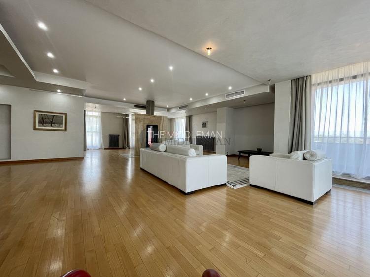 Penthouse cu 3 dormitoare si living generos in Dorobanti Capitale - 4