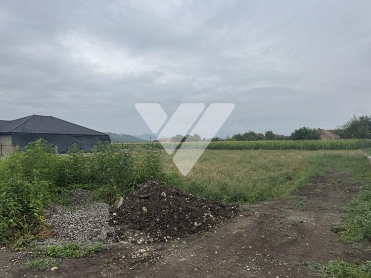 Teren 845 mp, front 16 m, utilitati si autorizatie construire - Vestem