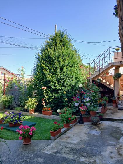 Voluntari  Vanzare  Vila 265 000eur
