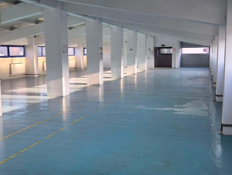 Hală modernă multifuncțională – 1.300 mp –Bucium, Iași- DE ÎNCHIRIAT