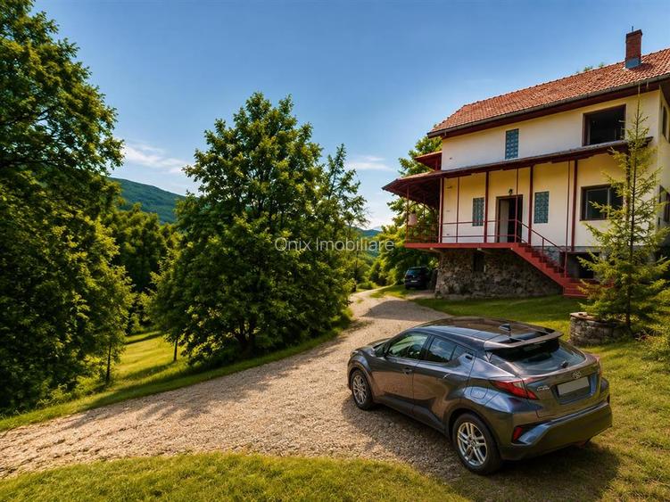 Vila deosebita cu 7 camere si 5 bai, 4290 mp teren, vedere panoramica – Valea Do - 2