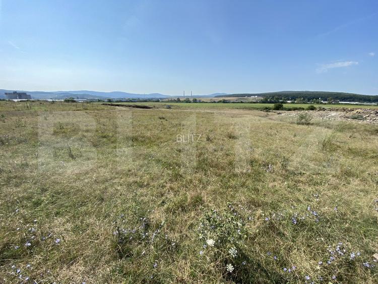Teren extravilan Criseni, 3800 mp - 3