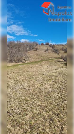 Teren de exceptie 3,1 ha intravilan | Panorama, utilitati, acces dublu | Sard