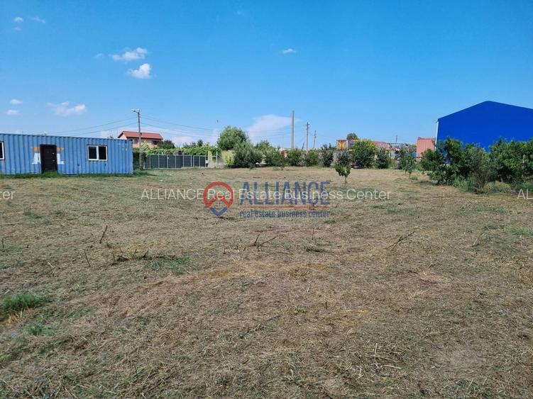 Teren 3417 mp, Poiana, intabulat, utilități complete - 5