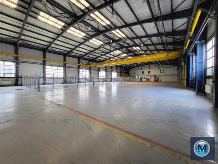 Spatiu industrial de vanzare in Campina, zona Central, 4600 mp #16268