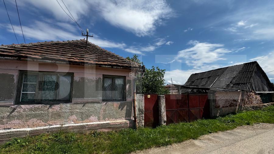 Proprietate de vanzare, 60 mp, teren 1.600 mp, Vintu de Jos - 2
