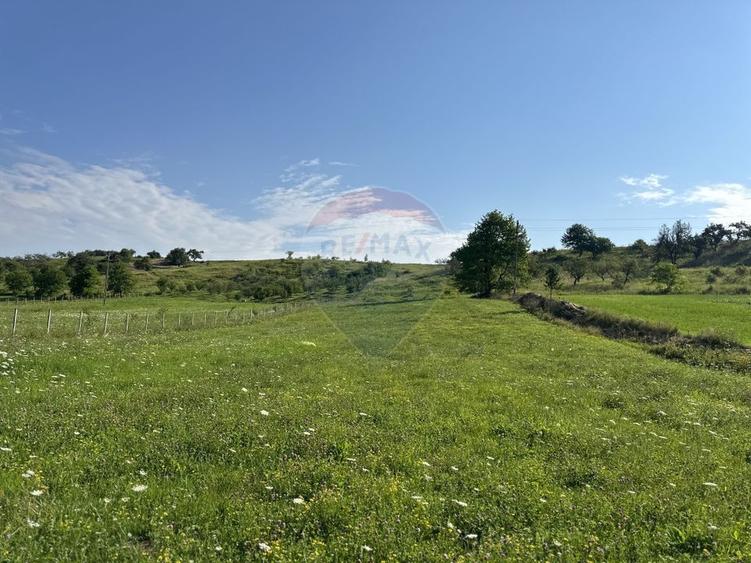 Teren 8,300mp Negresti (Dobreni) / Drumul DEALUL OTEL