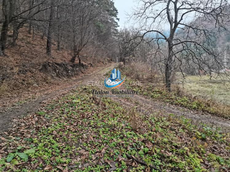 Teren Straja – Pangarati 3560 m, zona de Pensiune
