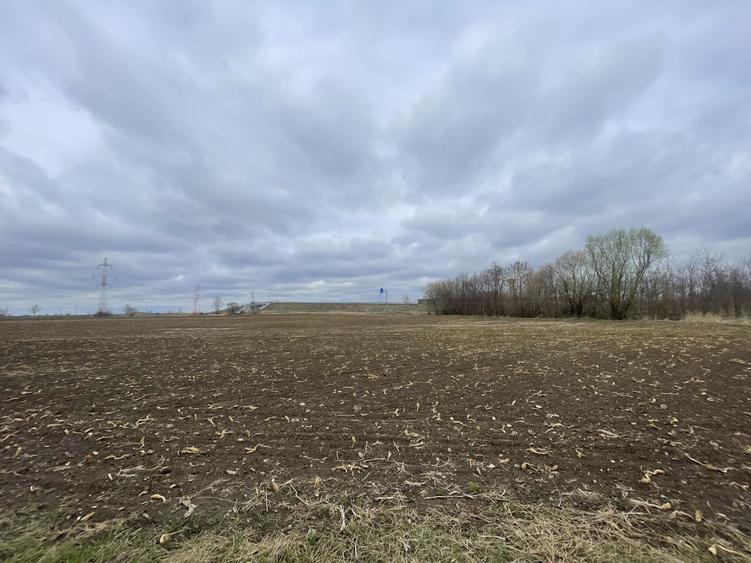 TEREN INTRAVILAN | 50 ARI | ZONA PERIFERICA RADAUTI