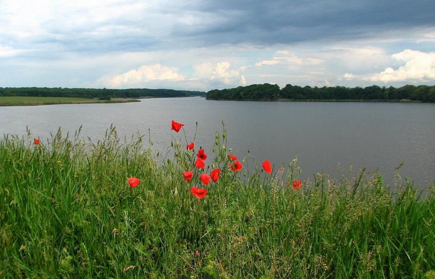 Teren Snagov Lac Caldarusani ideal investitie dezvoltare proprietati de lux