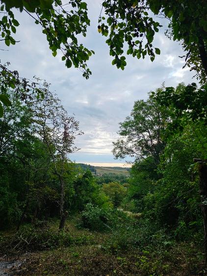 Teren cu priveliste spre vale, la padure, zona linistita, la 1h30 de Bucuresti - 5