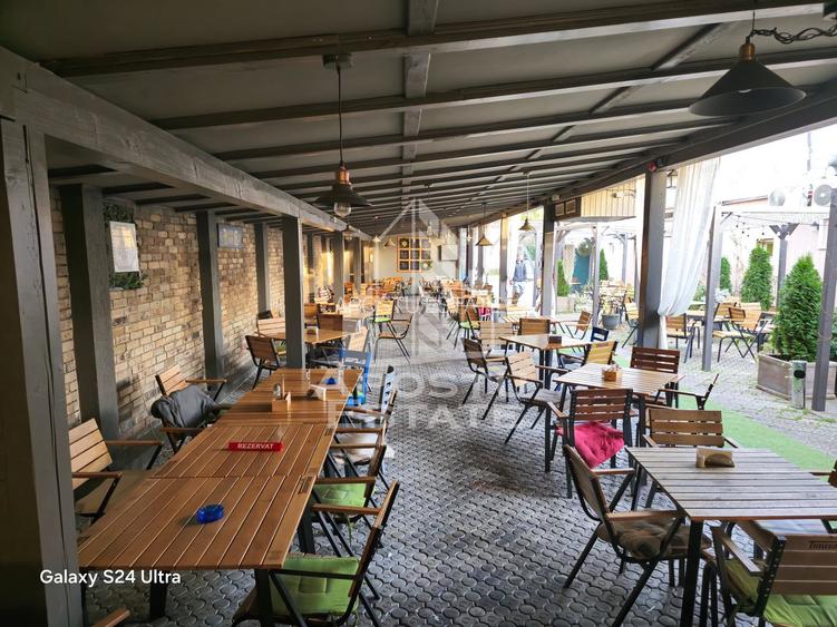 Afacere la cheie, in apropierea Castelului Corvinilor in Hunedoara - 31
