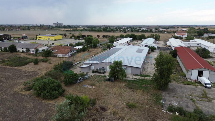 Hala industriala modernizată 2200 mp de vanzare in Pecica, Arad
