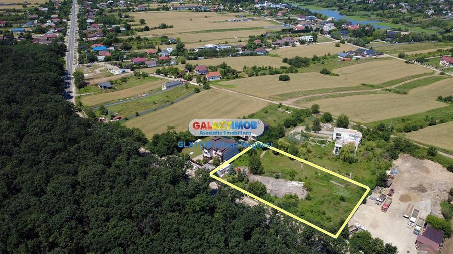 Vanzare teren intravilan 5000 mp Snagov Ciofliceni