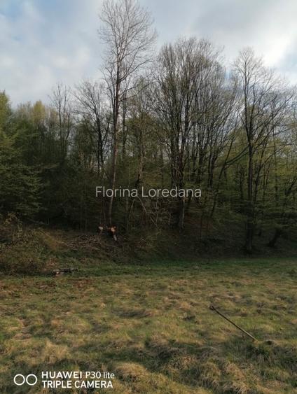     Oportunitate investiție – teren intravilan în Vulcan, Hunedoara - 3