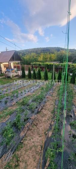 Casă P+M cu 1.558 mp teren, livadă și garaj | Barza, Gorj Comision 0% - 8