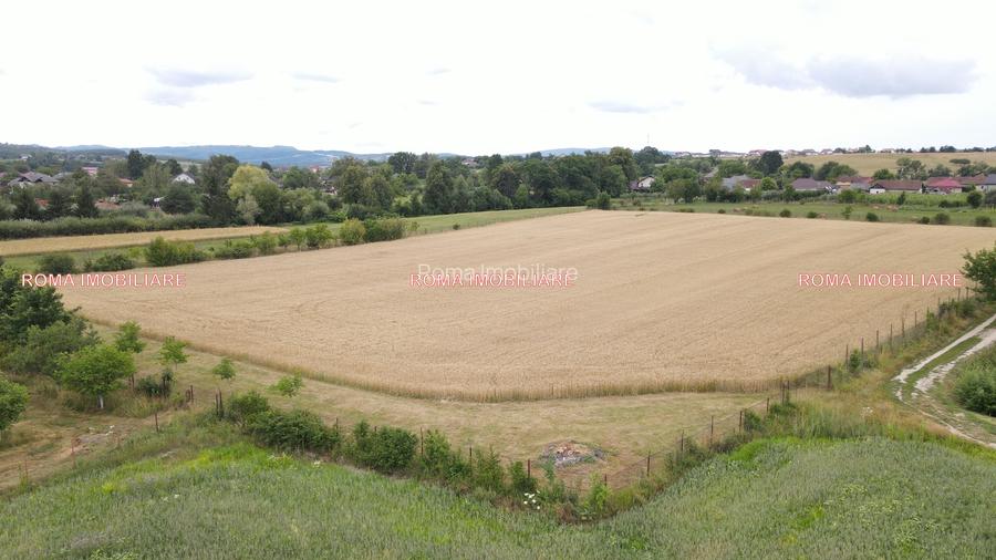 TEREN INTRAVILAN DE VÂNZARE – ȘOMCUTA MARE, MARAMUREȘ - 5