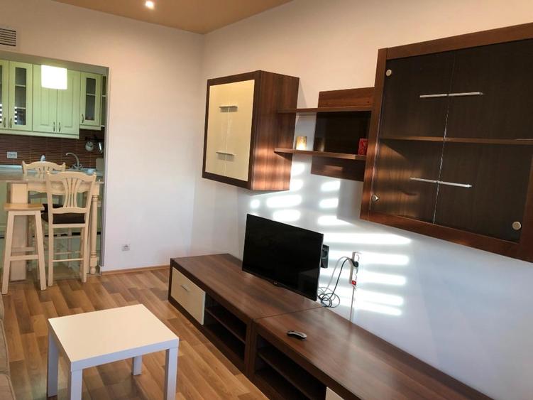 Apartament 2 Camere – Rin Grand Hotel, Vedere catre Delta. Pet friendly